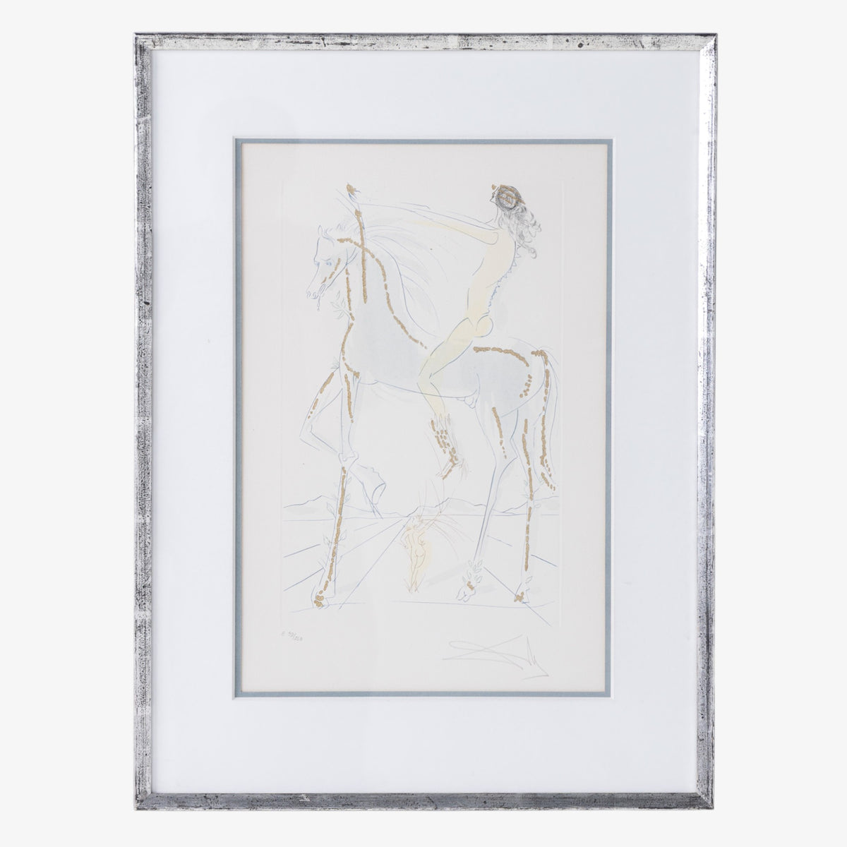 Mixed-media i sølvramme