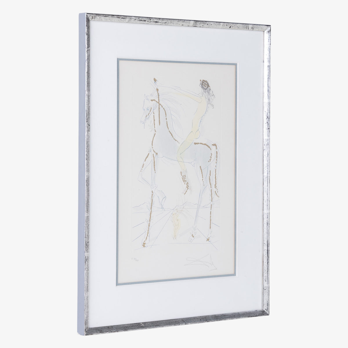 Mixed-media i sølvramme