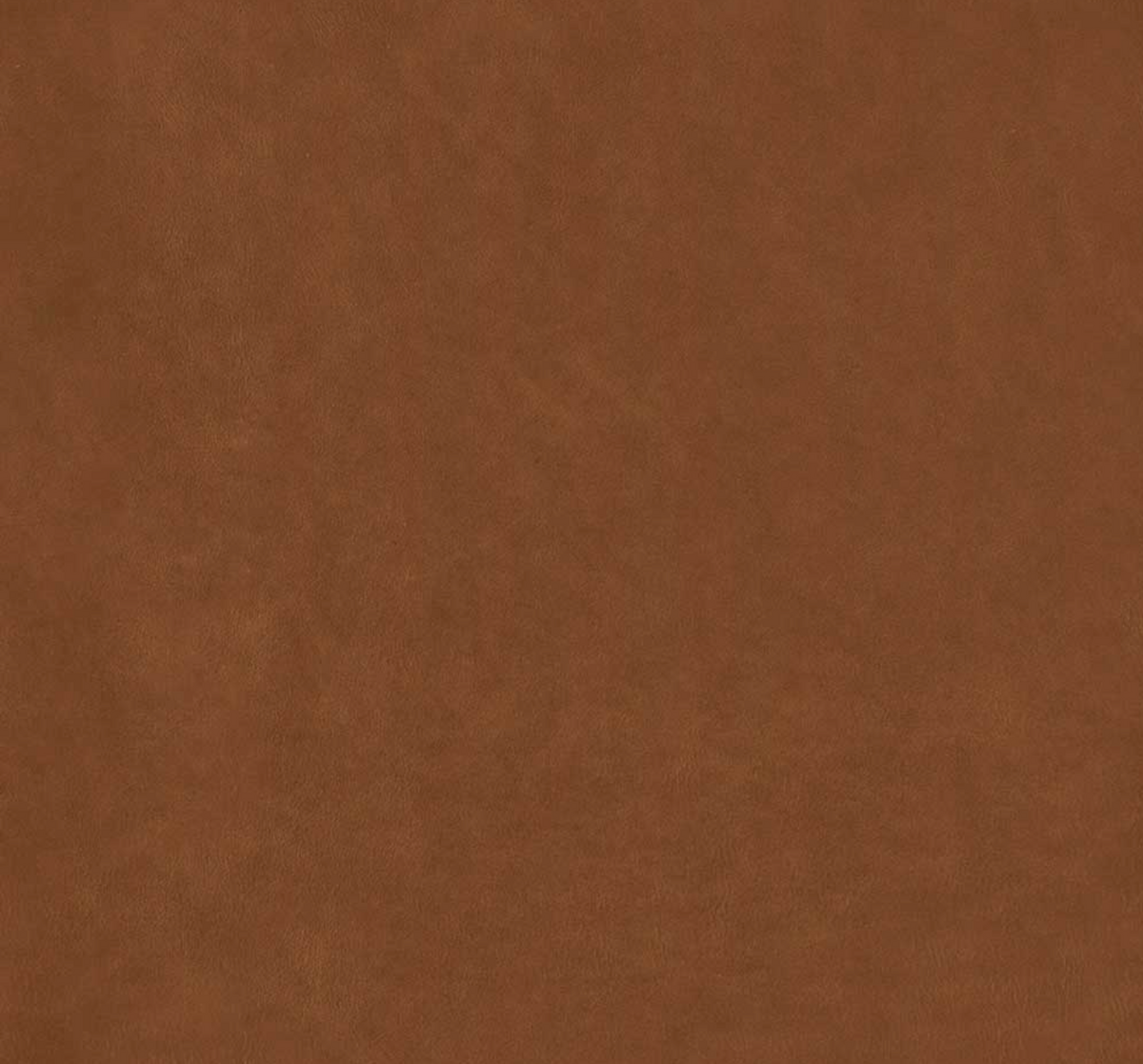 AJ 3316 - 'The Egg' in Envy Cognac